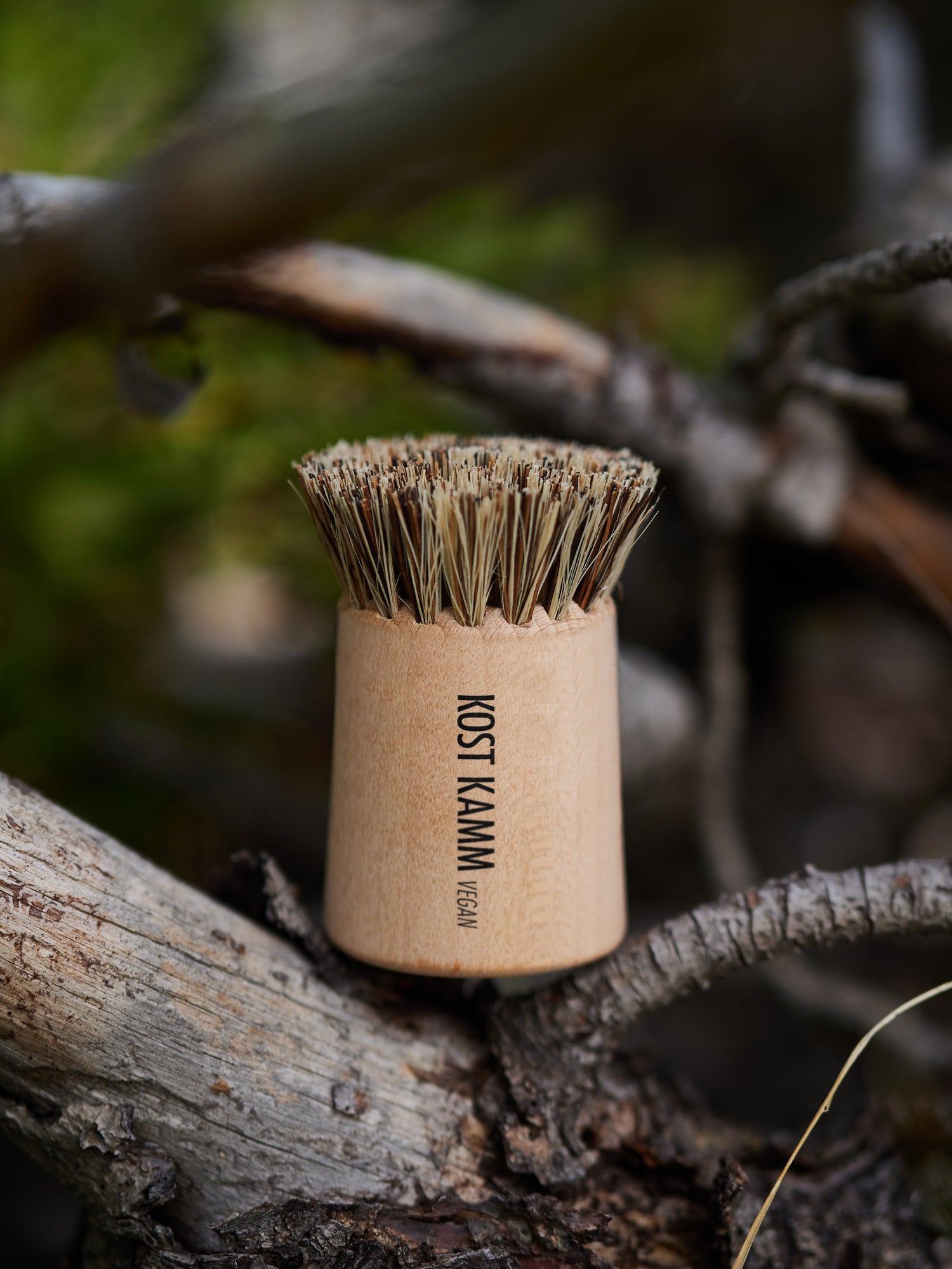 Household brushes