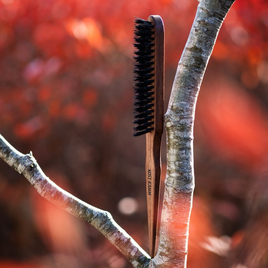 Brosse élégante, avec pointe, noyer, poils de sanglier, 3 rangs, 23.5cm