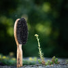 Brosse à cheveux, ovale, bois d'olivier, poils de sanglier, 9 rangs, 22 cm