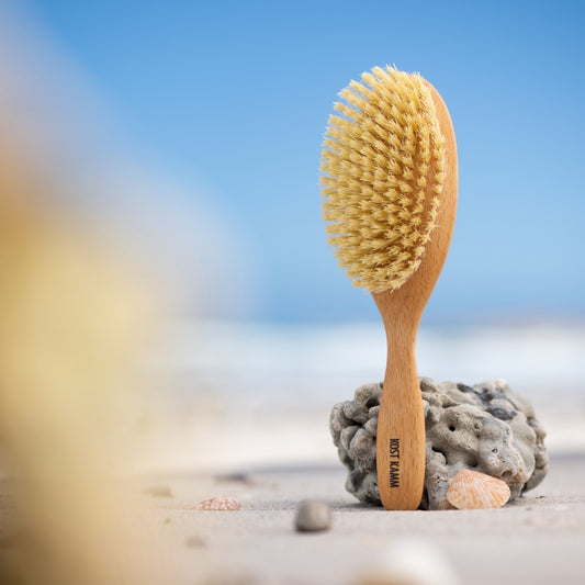 Brosse à cheveux, surface bombée, hêtre, soies de sisal véganes, 10 rangs, 22cm