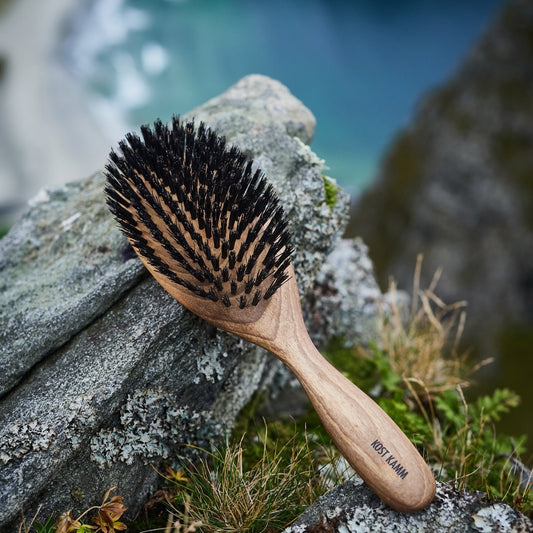 Brosse à cheveux, surface bombée, noyer, poils de sanglier durs, 10 rangs, 22cm
