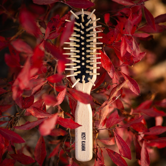 Brosse étroite en bois de hêtre à poils longs, picots en bois extra-longs droits, 5 rangs, 22 cm