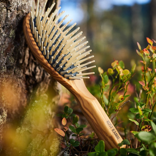 Brosse ovale en bois pour cheveux longs, en bois d'olivier, picots en bois droits extra-longs, 9 rangées, 21,5 cm