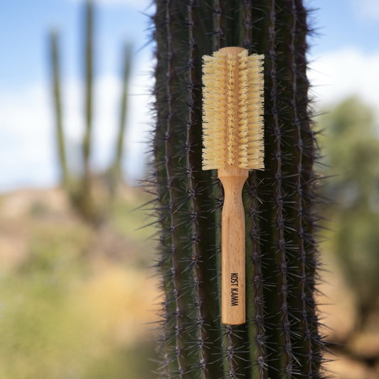 Brosse soufflante, 50mm, hêtre, soies de sisal végétaliennes, 12 rangées, 21cm