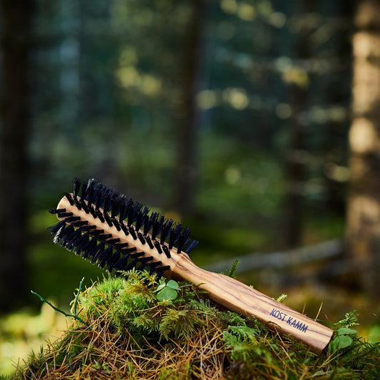 Brosse soufflante, 55 mm, bois d'olivier, poils de sanglier, 10 rangées, 21 cm