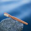 Toothbrush, large, beech, oiled, medium-hard, hog bristles, 16.5cm