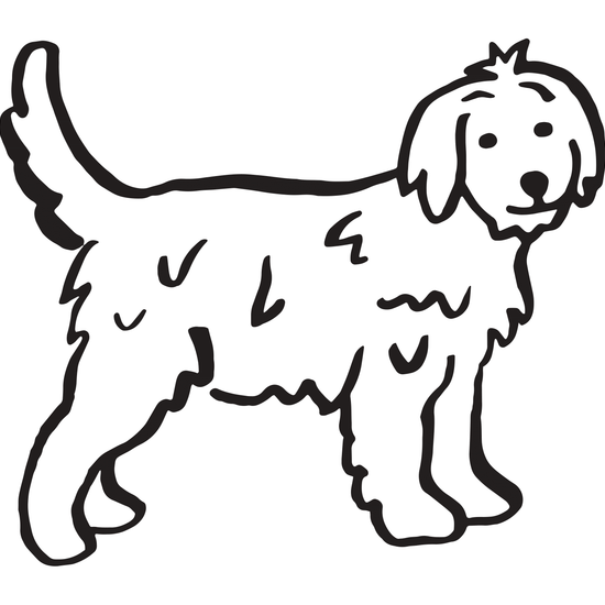 Hund