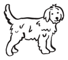 Hund