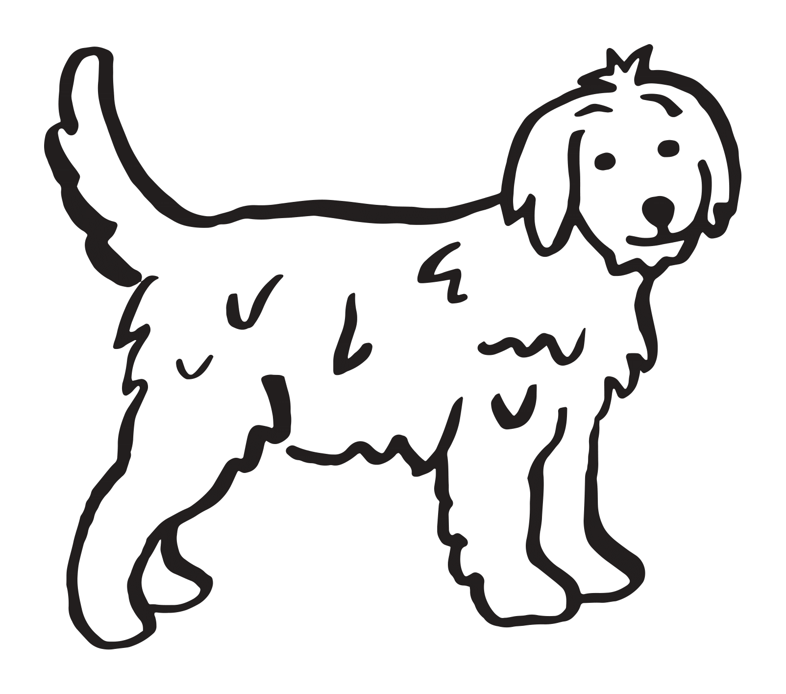 Hund