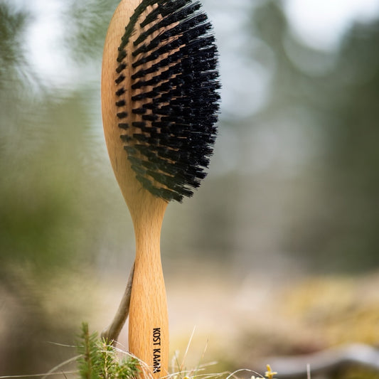 Brosse à cheveux, surface bombée, hêtre, poils de sanglier extra durs, 10 rangs, 22cm