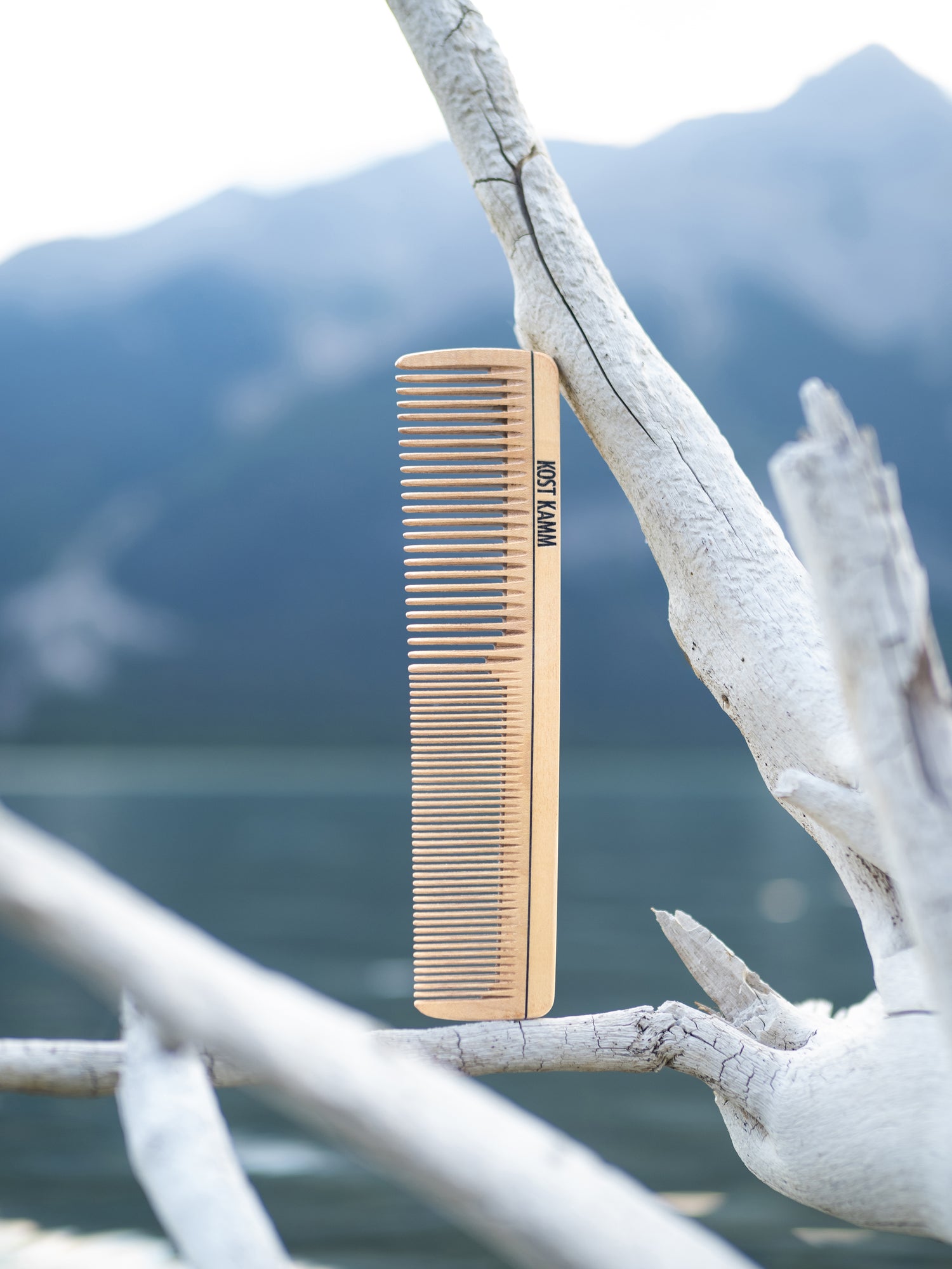 Holzkämme