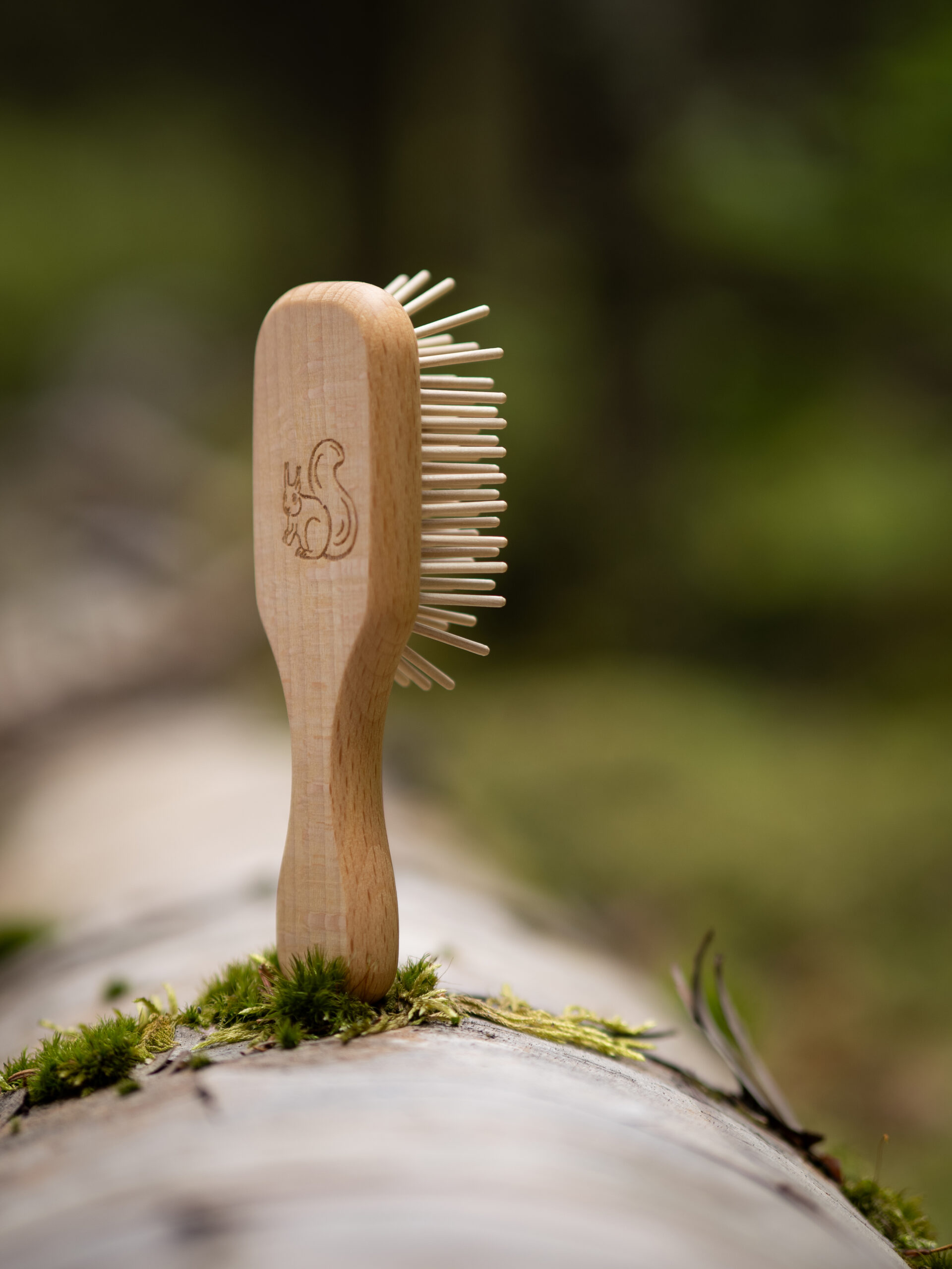 Brosses et peignes à motifs animaliers